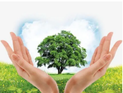 inscription 462417ebcff694f4ce32098e22ec45272404ebdcff5aeff8b64d51d0225edbeei0