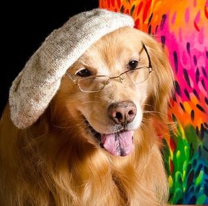 inscription 52bc28bdaad9cd7c137c14fdb935fc2e1726dc8595b43d49d571fa09c261ff3di0