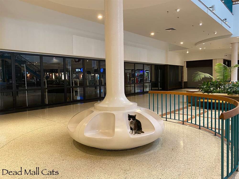 inscription cac9727cb8cab6c44e7ed6135a119b24e2fcbd5dd834539a9738f2207c7abcb2i0